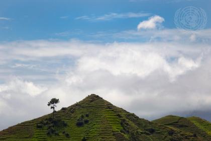 Goal 15: Life on Land